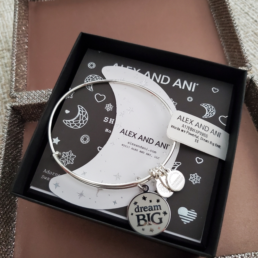 🆕️ Alex and Ani Dream Big Charm Bracelet - Picture 4 of 5